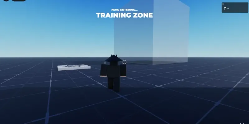 AVN Zone System Cover image