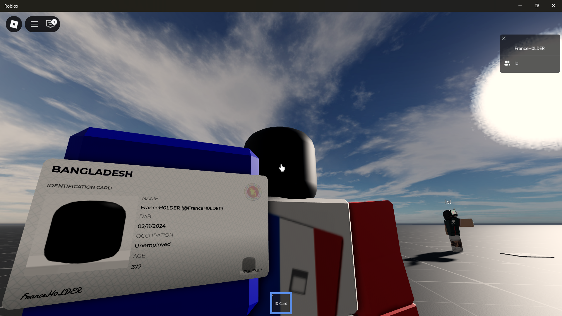 Identity Card System #3