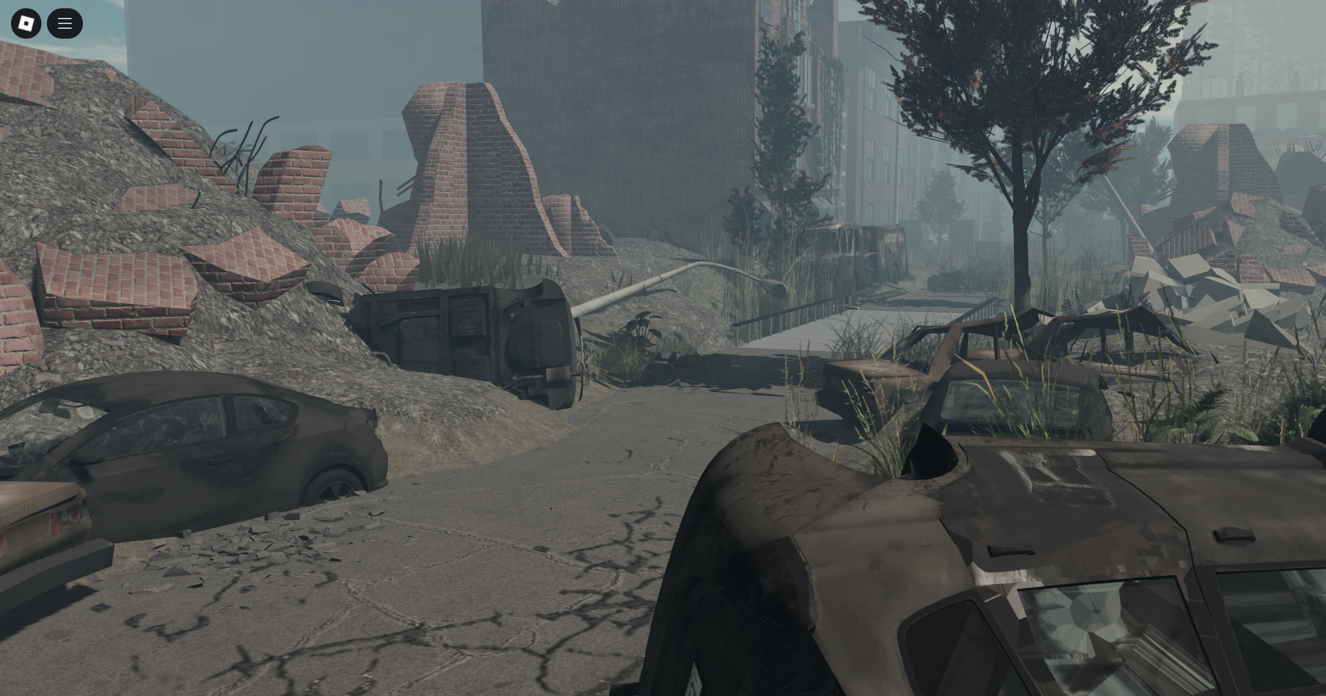 Seattle Border, The Last Of Us 2 #16