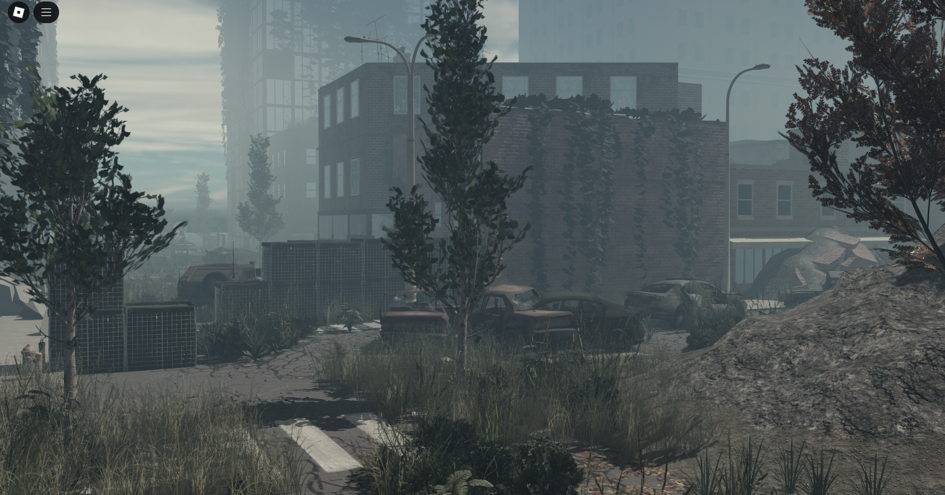 Seattle Border, The Last Of Us 2 #17